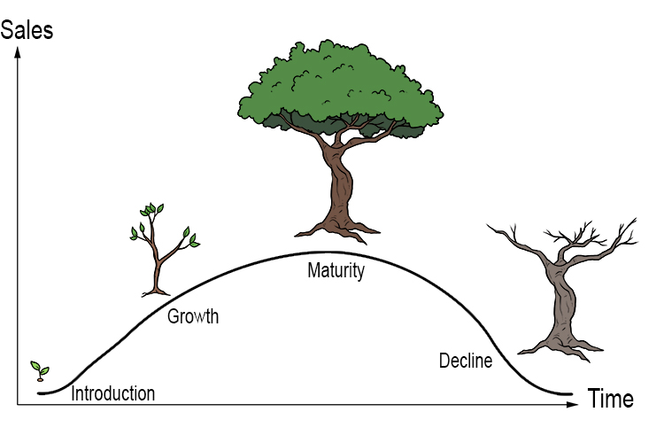 The easiest way to remember the product life cycle is to associate it with the life cycle of a tree. Both involve four stages; introduction, growth, maturity and decline.